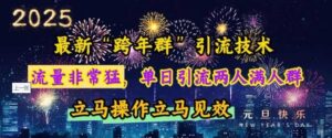 最新“跨年群”引流，流量非常猛，单日引流两人满人群，立马操作立马见效【揭秘】-红果网创