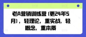 老A营销训练营(更24年12月),轻理论,重实战,轻概念,重本质-红果网创