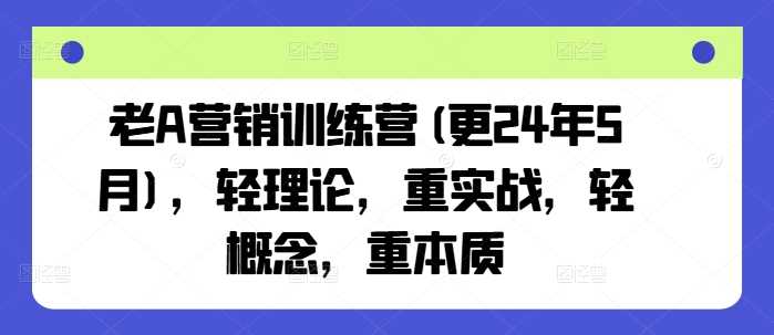 老A营销训练营(更24年12月)，轻理论，重实战，轻概念，重本质-红果网创