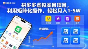 拼多多虚拟类目项目，利用矩阵化操作，轻松月入1-5W-红果网创