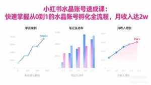 2025小红书水晶账号速成课：快速掌握从0-1水晶账号孵化全流程，月收入达2w-红果网创