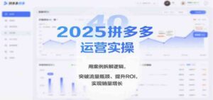 2025拼多多运营实操，用案例拆解逻辑，突破流量瓶颈、提升ROI，实现销量增长-红果网创