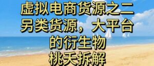 虚拟电商之二—另类的货源，大平台的衍生物-红果网创