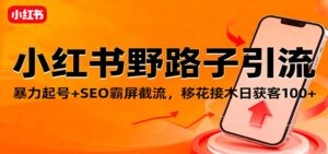 小红书野路子引流，暴力起号+SEO霸屏截流，移花接木日获客100+-红果网创