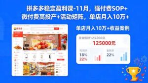 拼多多稳定盈利课-11月，强付费SOP+微付费高投产+活动矩阵，单店月入10w+-红果网创