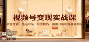 视频号变现实战课：流量逻辑、选品排品、投流技巧，覆盖开店到复盘全流程-红果网创