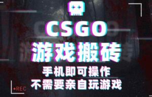 CSGO游戏挂机捡漏,单日扫货500+,年底小高峰上车可吃肉,手机即可操作…-红果网创