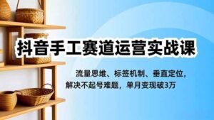 抖音手工赛道运营实战课，流量思维、标签机制、垂直定位，解决不起号难题，单月变现破3万-红果网创