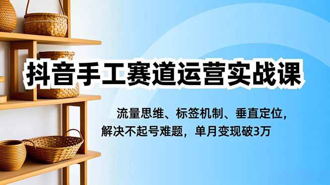 抖音手工赛道运营实战课，流量思维、标签机制、垂直定位，解决不起号难题，单月变现破3万-红果网创