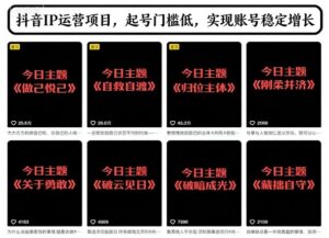 抖音IP运营项目，抖音今日主题玩法，起号门槛低，实现账号稳定增长-红果网创