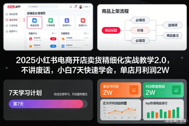 2025小红书电商开店卖货精细化实战教学2.0，不讲废话，小白7天快速学会，单店月利润2W-红果网创