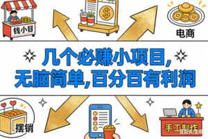 9个必赚小项目，无脑简单，百分百有利润，副业首选，日入200+-红果网创