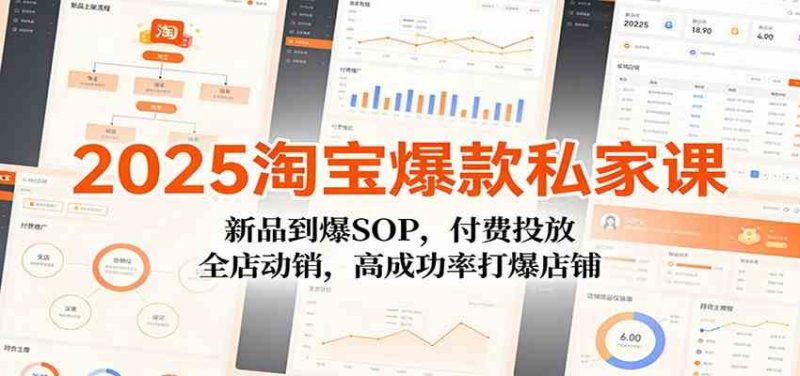 2025淘宝爆款私家课：新品到爆SOP，付费投放，全店动销，高成功率打爆店铺-红果网创