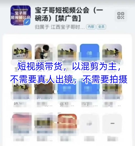 宝子哥头部团队短视频带货，以混剪为主，不需要真人出镜，不需要拍摄【更新26年3月】-红果网创