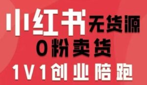 小红书无货源0粉电商课,开店准备、选品策略、笔记撰写、视频剪辑、数据分析、账号打造、资料文档(更新26年3月)-红果网创