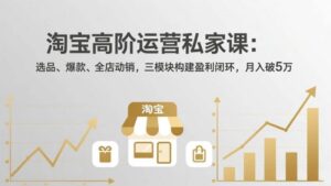 淘宝高阶运营私家课（更新26年4月）：选品、爆款、全店动销，三模块构建盈利闭环，月入破5万-红果网创