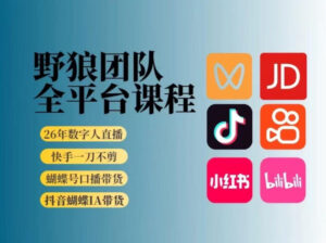 野狼团队2026新版全平台短视频带货教学，打开流量突破口，开始Ai带货（更新26年3月20日）-红果网创