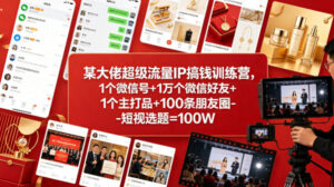 某大佬超级流量IP搞钱训练营，1个微信号+1万个微信好友+1个主打品+100条朋友圈-短视选题=100W-红果网创