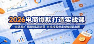 2026电商爆款打造实战课:全站推广搭配新品运营,多维度投放快速起量出圈-红果网创
