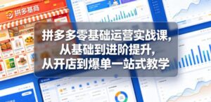 拼多多零基础运营实战课,从基础到进阶提升,从开店到爆单一站式教学-红果网创