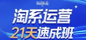 淘系运营21天速成班,0基础轻松搞定淘系运营,不做假把式,快速复制落地(更新26年6月)-红果网创