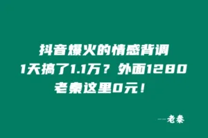 抖音爆火的情感背调,1天搞了11985元?外面1280,老秦这里0元!-红果网创
