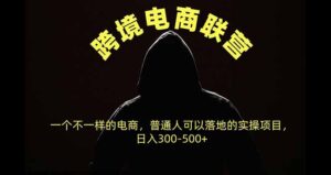 跨境电商联营，一个不一样的电商，普通人可操作日入300-500+-红果网创
