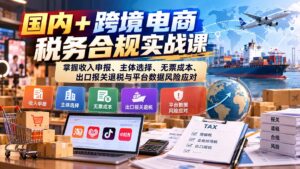 国内+跨境电商税务合规实战课：掌握收入申报、主体选择、无票成本、出口报关退税与平台数据风险应对-红果网创