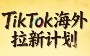 Tc联盟·TikTok海外拉新项目(更新9月)-红果网创