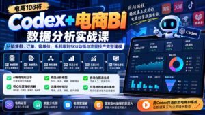 Codex+电商BI数据分析实战课-更新：从销售额、订单、客单价、毛利率到SKU动销与流量投产完整建模-红果网创