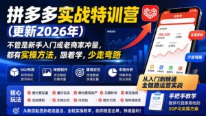 拼多多实战特训营(更新0926-红果网创