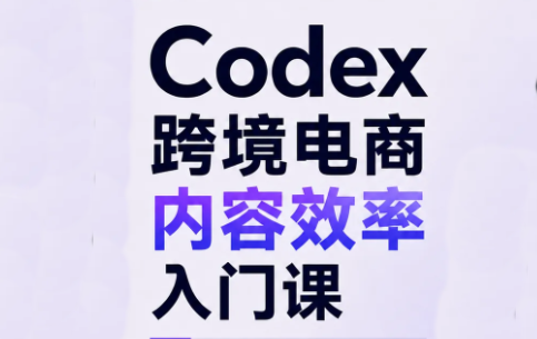 Codex跨境电商内容效率入门课-红果网创