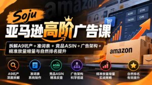 Soju亚马逊高阶广告课:拆解A9坑产+准词表+竞品ASIN+广告架构+精准放量缩量与自然排名提升-红果网创