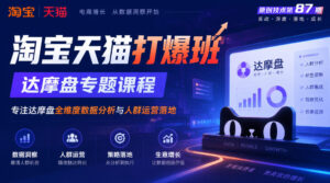 《淘宝天猫打爆班》原创技术第87期,达摩盘专题课程,专注达摩盘全维度数据分析与人群运营落地-红果网创