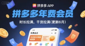 拼多多年费会员,实经验分享操,时长拉满,干货拉满(更新261009-红果网创