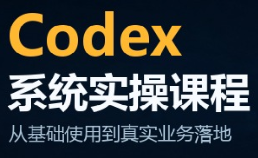 codex系统实操课程(更新10月) - 红果网创-红果网创