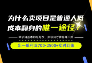普通人如何靠互联网賺取自己的第一桶金！全类目实操型教学，看完你全都懂了！【揭秘】-红果网创