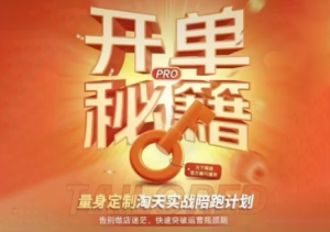 天下网商·淘宝天猫陪跑计划(更新10月)-红果网创