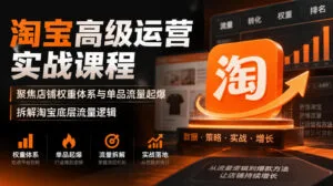 淘宝高级运营实战课程,聚焦店铺权重体系与单品流量起爆,拆解淘宝底层流量逻辑-红果网创