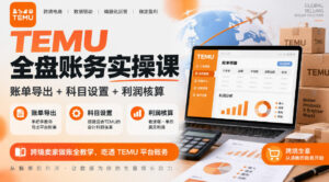TEMU全盘账务实操课|账单导出+科目设置+利润核算,跨境卖家做账全教学,吃透TEMU平台账务-红果网创