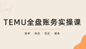 TEMU全盘账务实操课:账单导出、科目设置、利润核算-红果网创