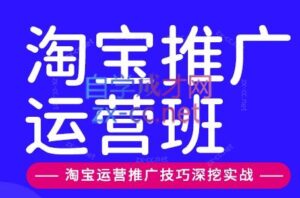 美迪电商·淘宝高级运营班+推广运营班(更新10月)-红果网创