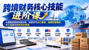 跨境财务核心技能进阶课:从建账核算到利润分析,系统学习出口退税、英国欧盟税务、外汇结算与财务风控管理-红果网创