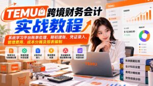 TEMU跨境财务会计实战教程：系统学习平台账单处理、期初建账、凭证录入、管理费用、成本分摊及报表编制-红果网创